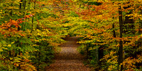 Fall Foilage in PA