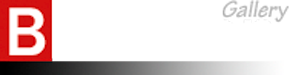 Bernicon Gallery